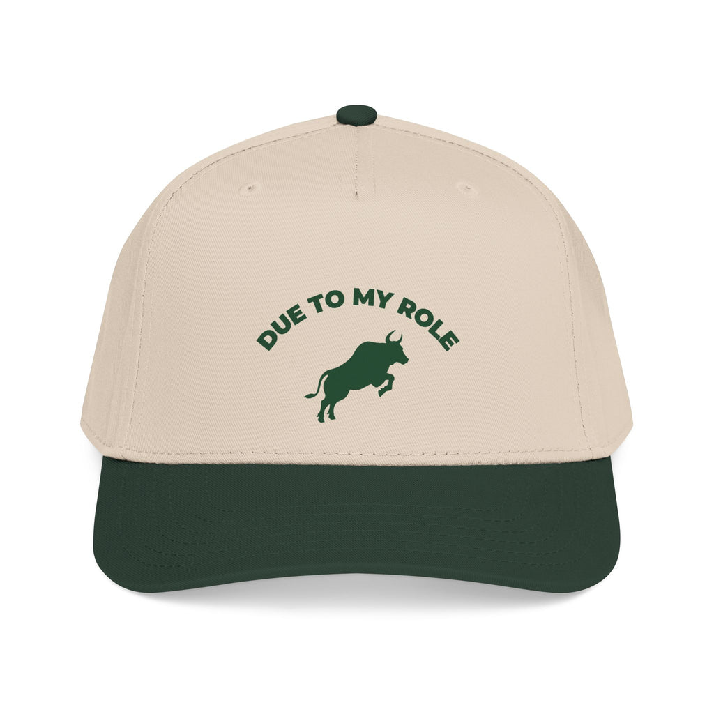 Due To My Role Snapback