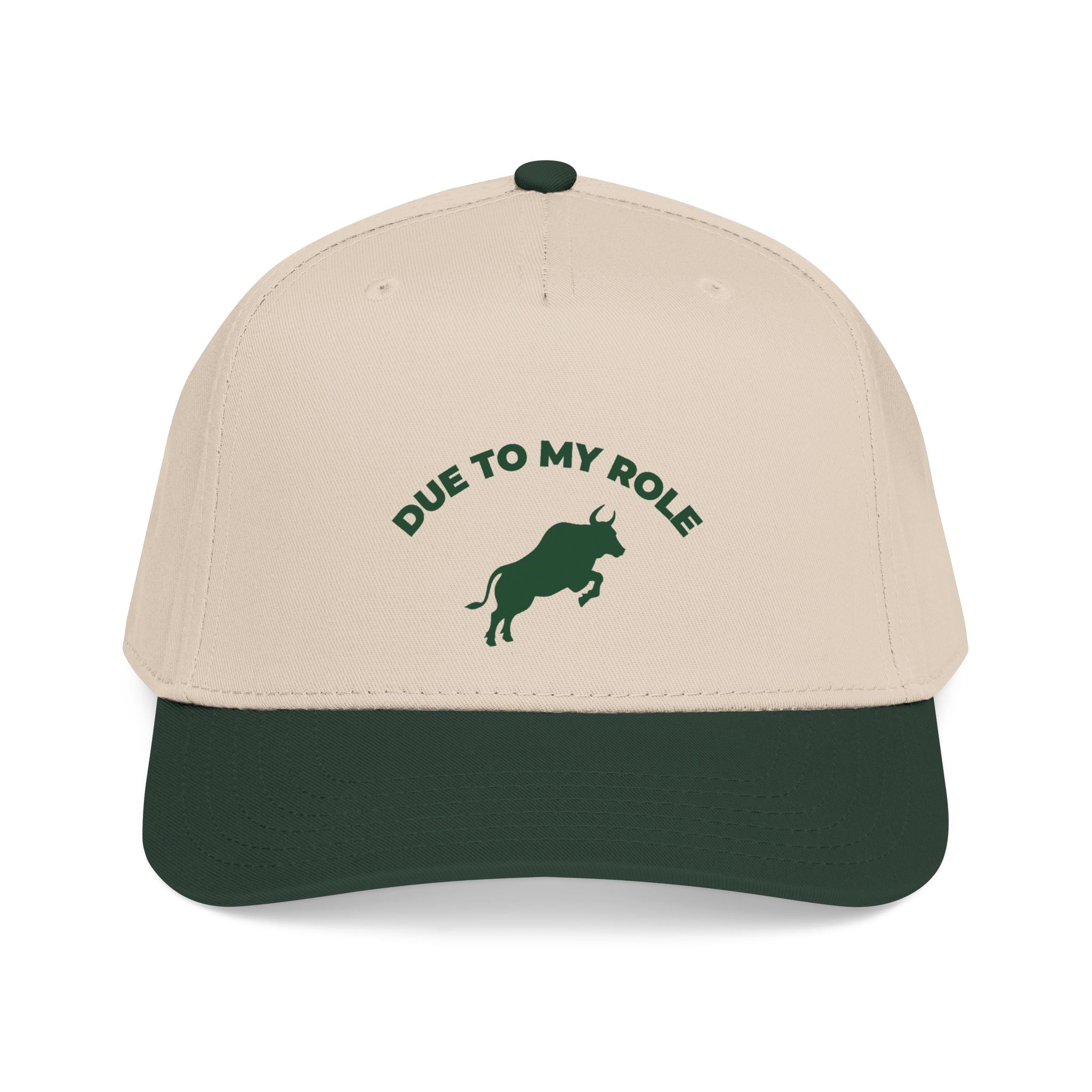 Due To My Role Snapback